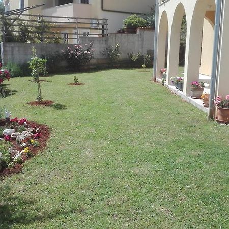Ližnjan Apartment Barba מראה חיצוני תמונה