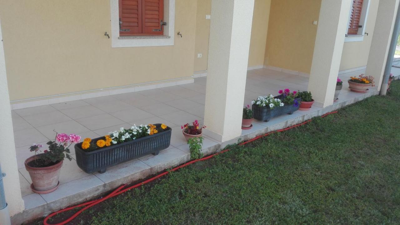 Ližnjan Apartment Barba מראה חיצוני תמונה
